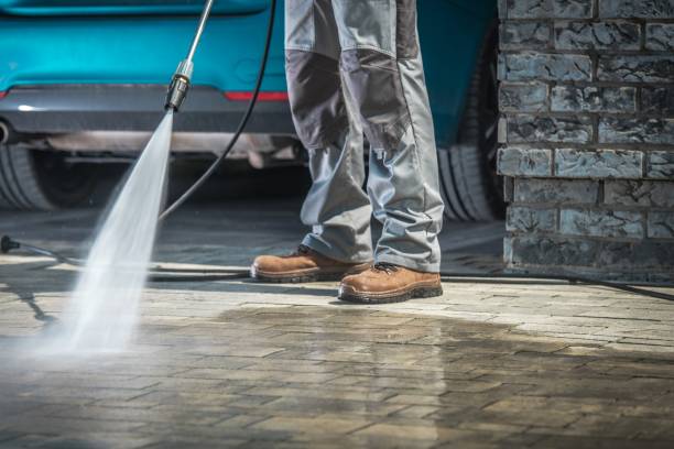 Best Pre-Holiday Cleaning  in Hartland, WI