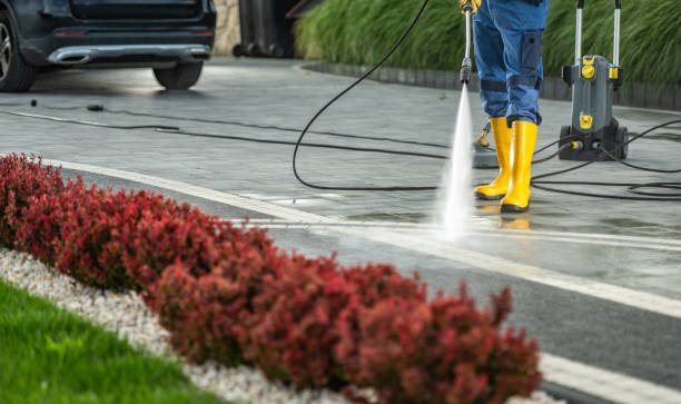 Best Soft Washing  in Hartland, WI